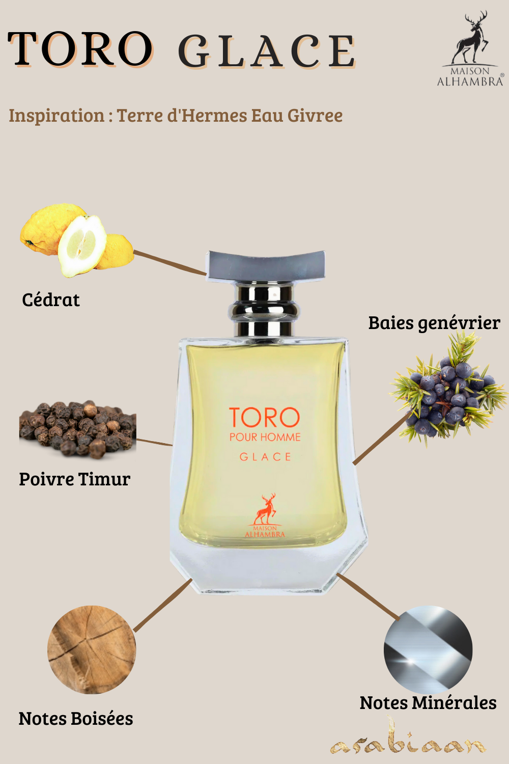 TORO POUR HOMME GLACE